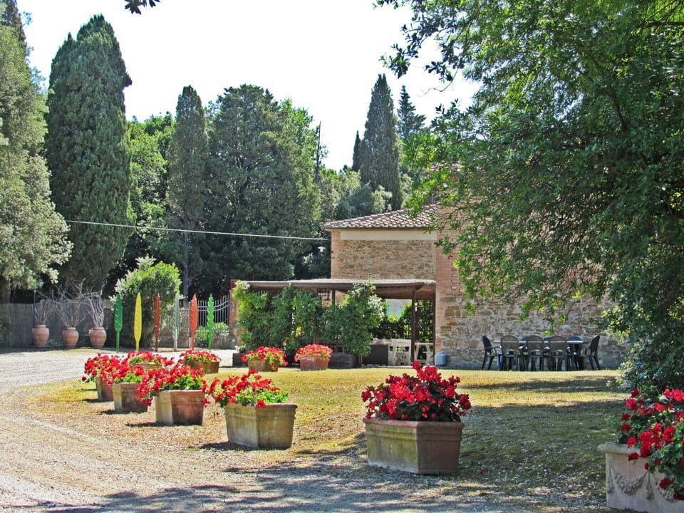 Garden, Tree, Botanical Garden, Botany, Plant, Flower, Shrub, Landscaping, Memorial, Grass