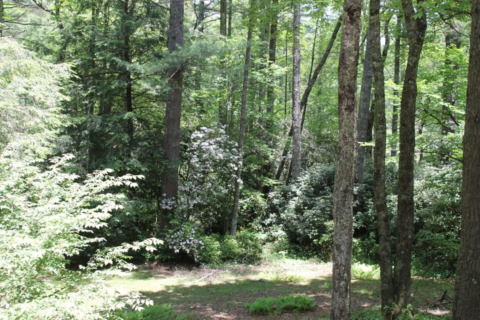 View from porch, stunning property
