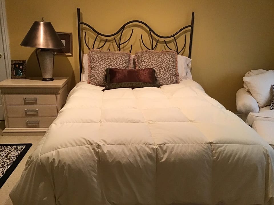 Lower level queen bedroom