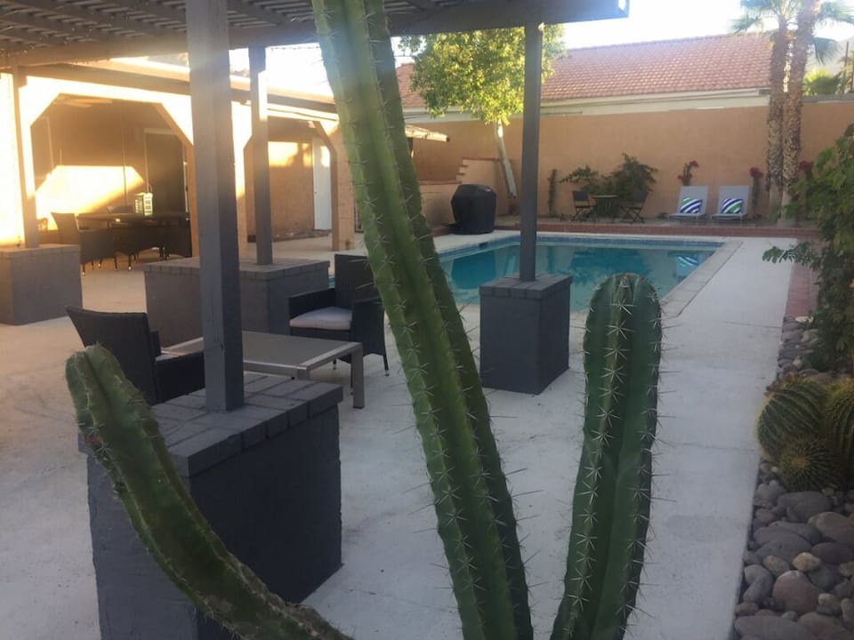 Pool and covered patio