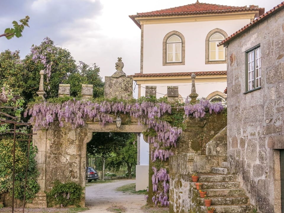 Plant, Flower, Window, Building, Property, Sky, Cloud, Purple, Architecture, House