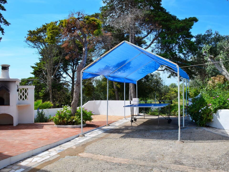 Plant, Sky, Property, Azure, Tree, Shade, Road Surface, Land Lot, Neighbourhood, Residential Area