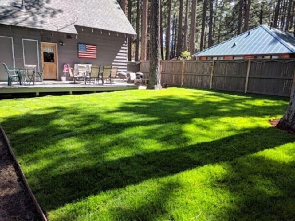 Private fenced backyard with deck & lawn