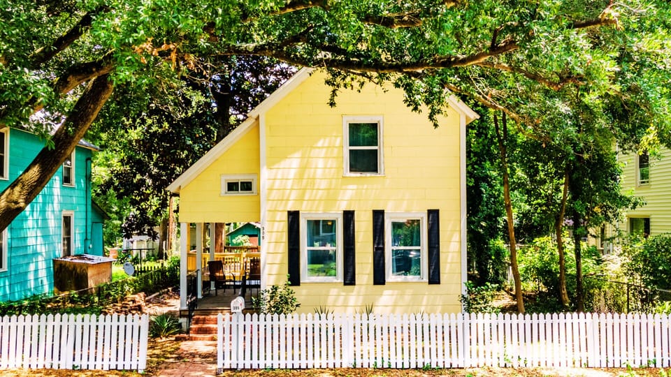 Surrounded by Shad Trees 