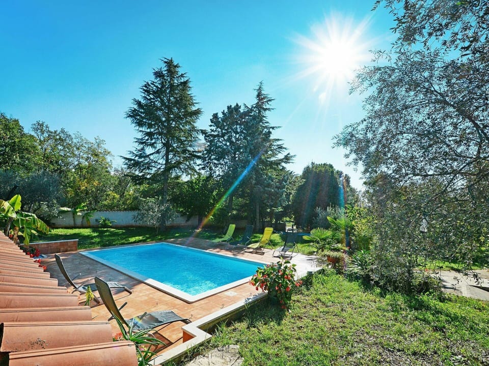 Sky, Plant, Water, Daytime, Swimming Pool, Nature, Azure, Tree, Shade, Outdoor Furniture