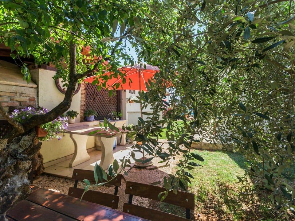 Property, Yard, House, Backyard, Tree, Garden, Home, Botany, Building, Real Estate