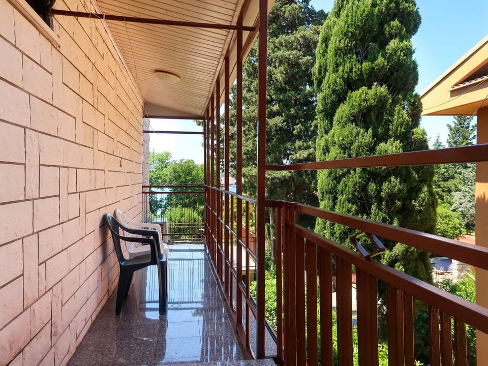 Property, Plant, Wood, Tree, Building, Sky, Fence, Floor, Shade, Leisure