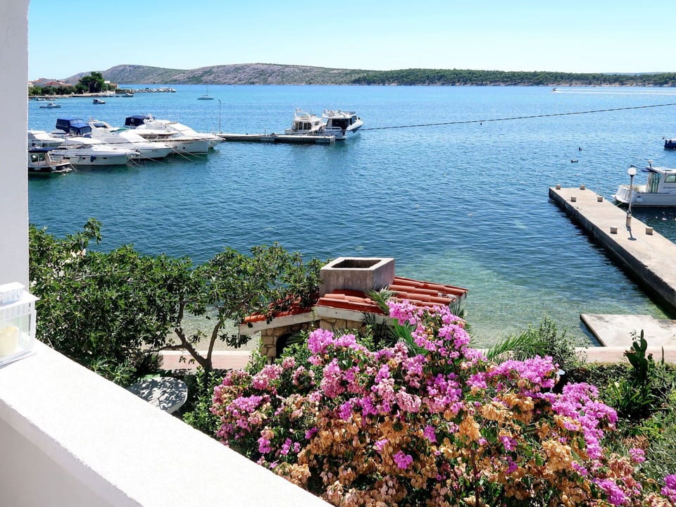 Sky, Sea, Flower, Boat, Vacation, Summer, Plant, Marina, Vehicle, Tourism