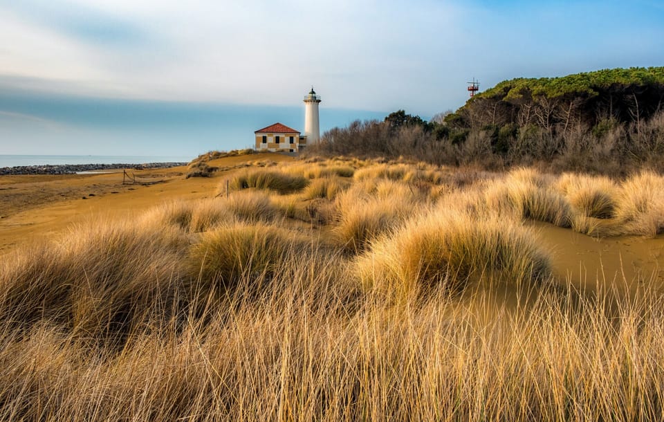 Miscellaneous
