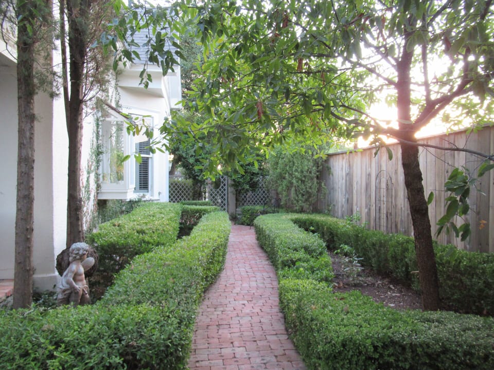 Side yard