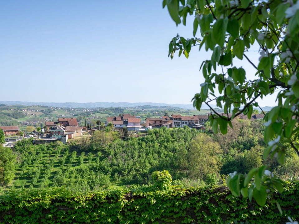 Sky, Plant, Plant Community, Natural Landscape, Land Lot, Tree, Grass, Woody Plant, Landscape, Agriculture