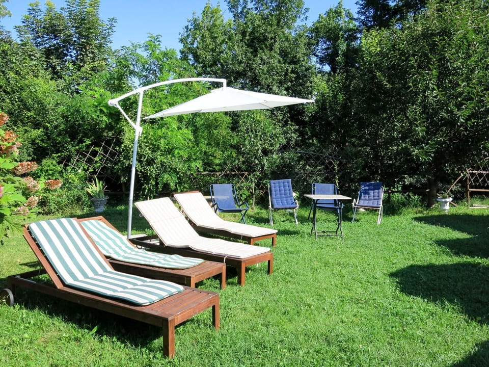 Furniture, Grass, Outdoor Furniture, Yard, Property, Table, Tree, Patio, Lawn, Backyard