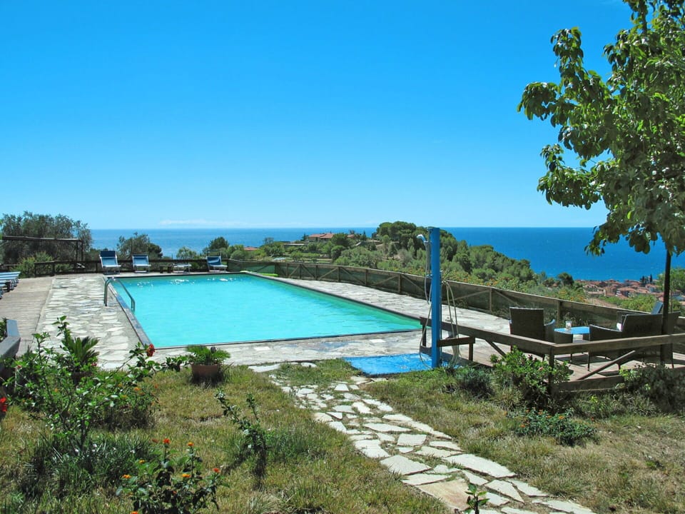 Water, Plant, Sky, Swimming Pool, Natural Landscape, Tree, Botany, Outdoor Furniture, Vegetation, Grass