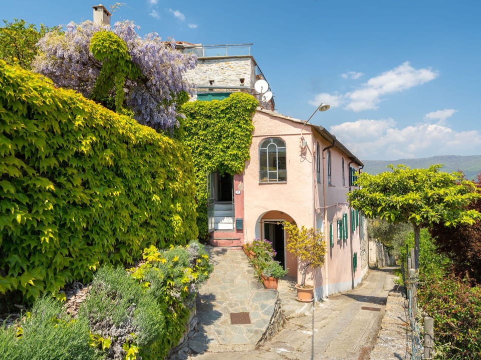 Sky, Plant, Flower, Cloud, Building, Property, Window, House, Architecture, Vegetation