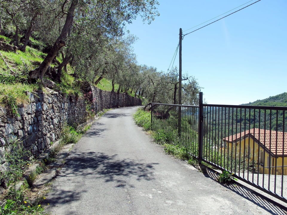 Tree, Road, Iron, Sky, Trail, Wall, Residential Area, Land Lot, Lane, Line