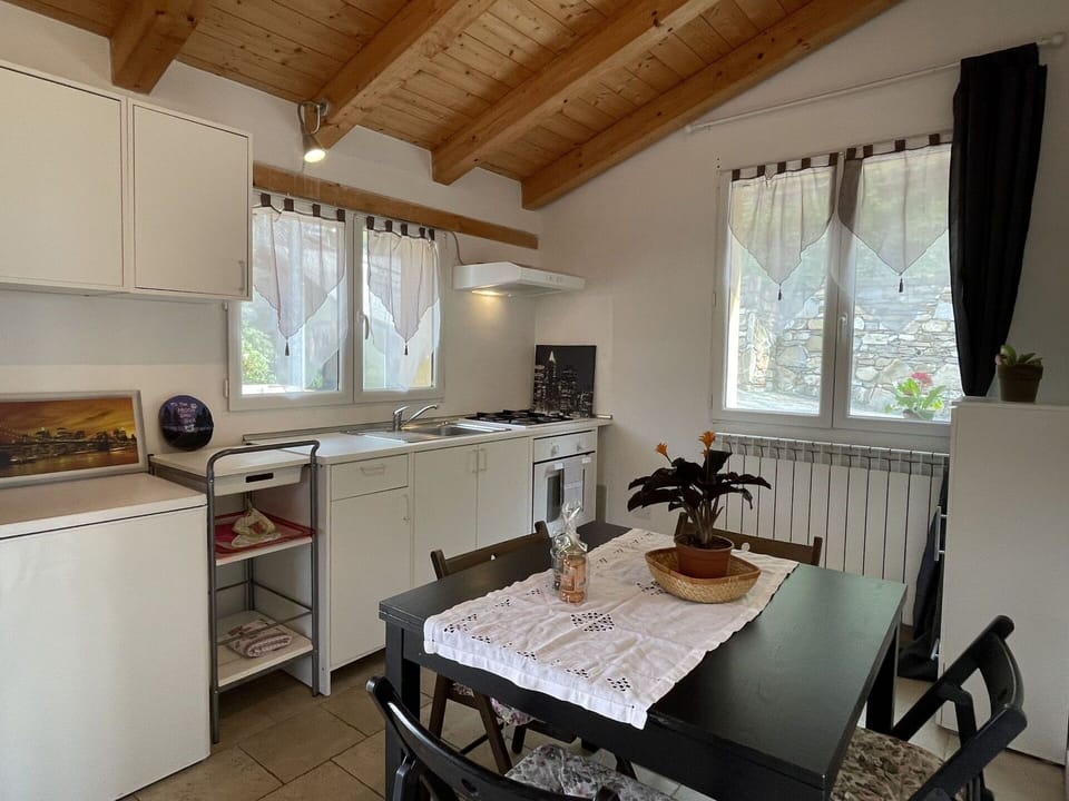 Table, Property, Furniture, Window, Gas Stove, Kitchen Stove, Building, Kitchen Appliance, Cabinetry, Houseplant