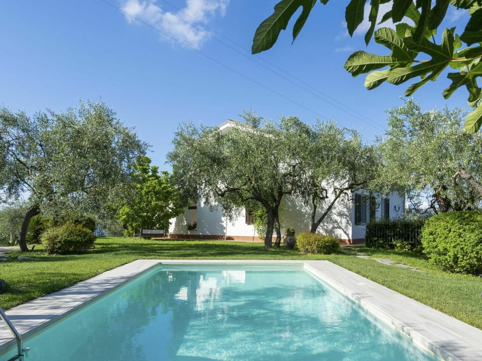 Swimming Pool, Property, Real Estate, Natural Landscape, Home, Estate, Backyard, House, Residential Area, Grass