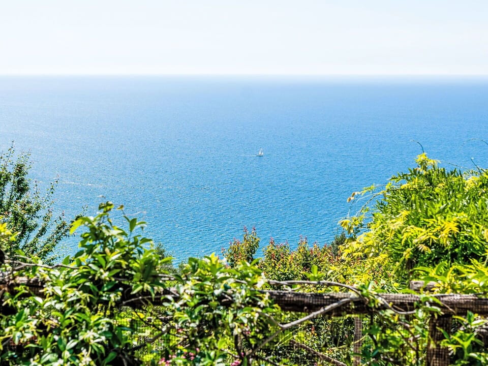 Blue, Daytime, Green, Vegetation, Horizon, Sea, Ocean, Coastal And Oceanic Landforms, Sunlight, Coast