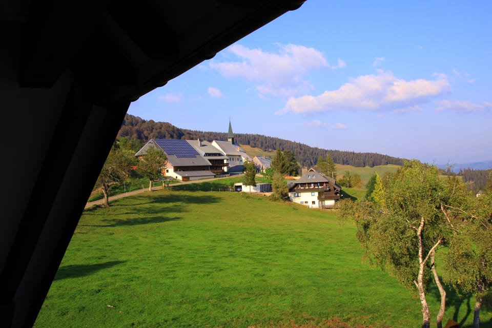 View from property