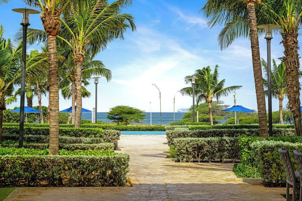 Tropical paradise walkway leads through manicured gardens with swaying palms toward pristine oceanfront setting.