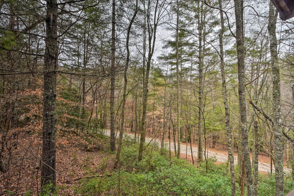 Wooded Views