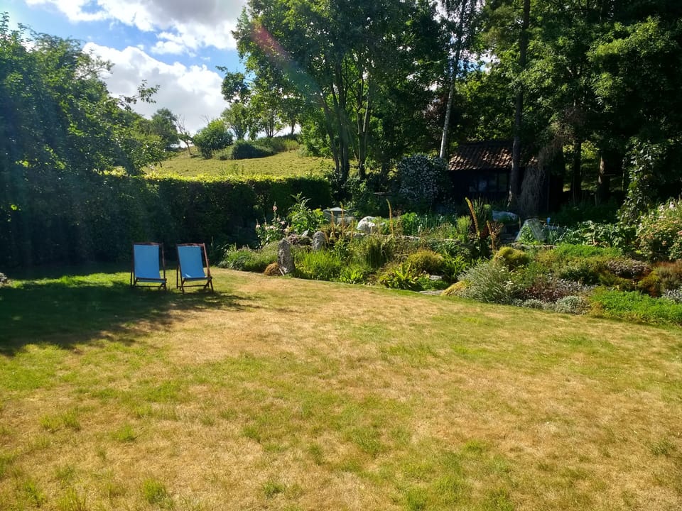 Guest garden.