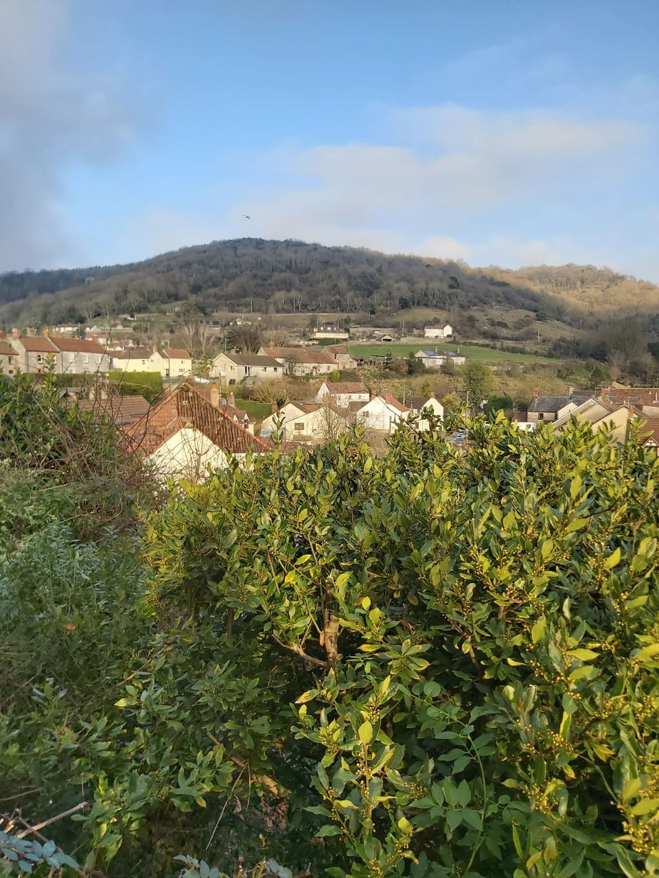 View of the Mendips from balcony