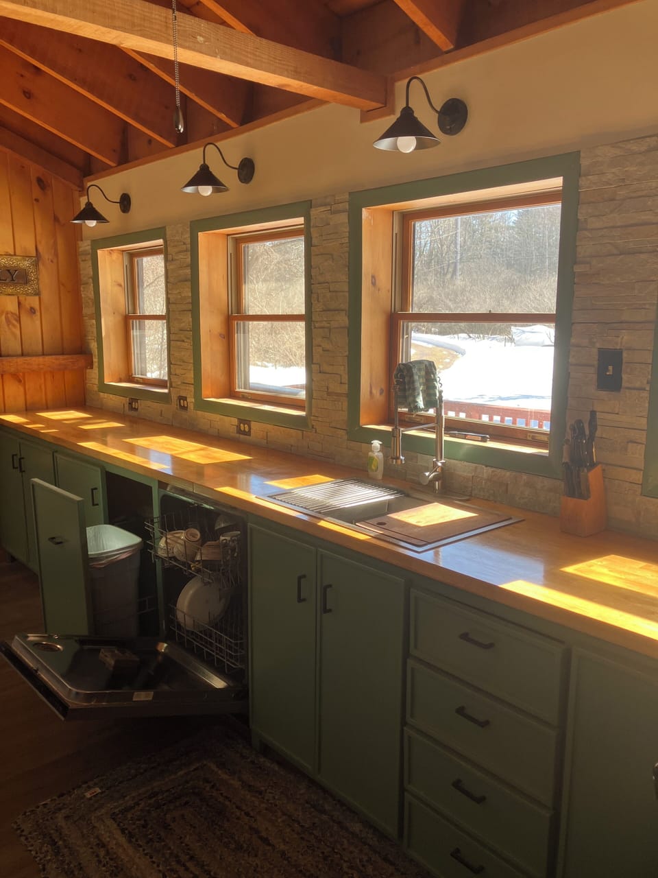 Kitchen counter with dishwasher and pullout garbage storage area