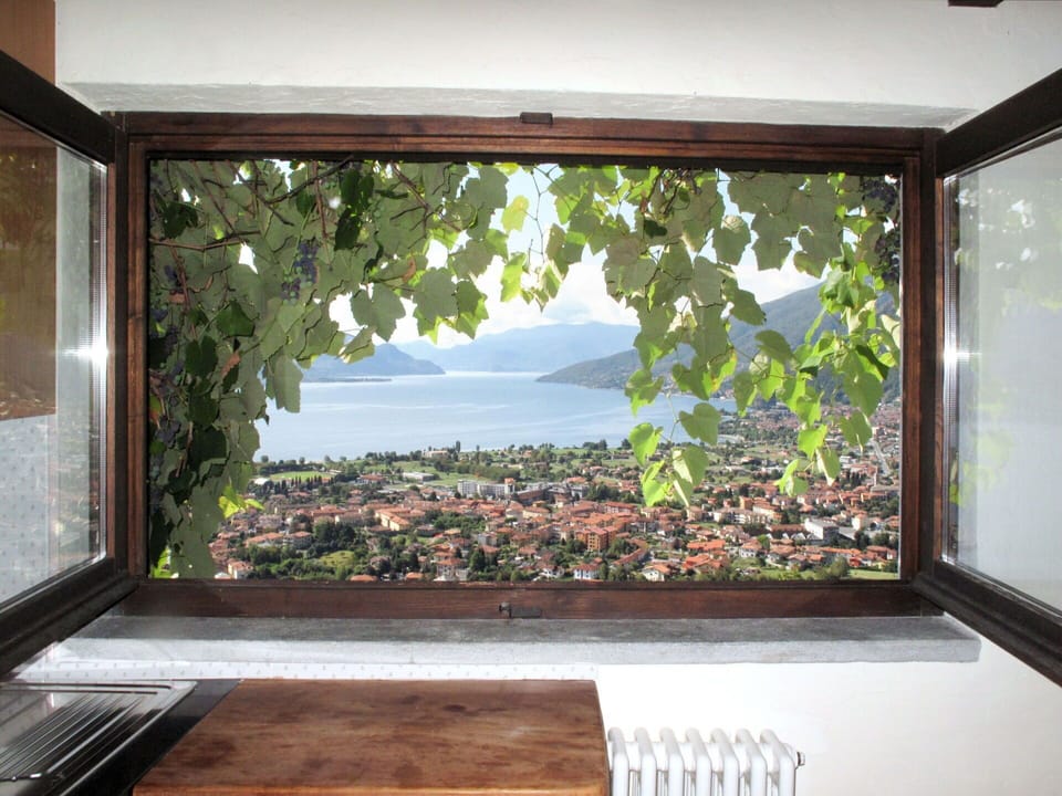 Room, Property, Window, House, Interior Design, Architecture, Tree, Building, Daylighting, Home