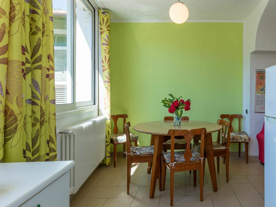 Table, Furniture, Property, Building, Flower, Window, Houseplant, Chair, Plant, Flowerpot