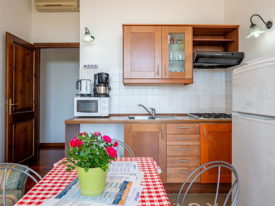 Cabinetry, Countertop, Furniture, Flower, Kitchen, Plant, Kitchen Appliance, Flowerpot, Wood, Kitchen Sink