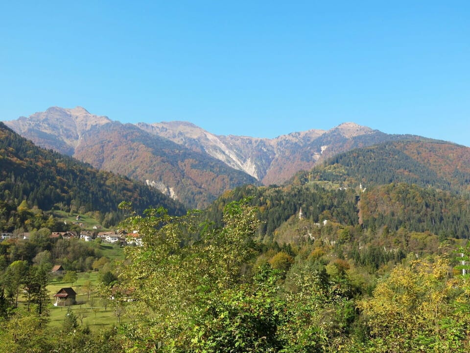 Wood, Lighting, Interior Design, Flooring, Floor, Living Room, Real Estate, Hardwood, Table, Beam