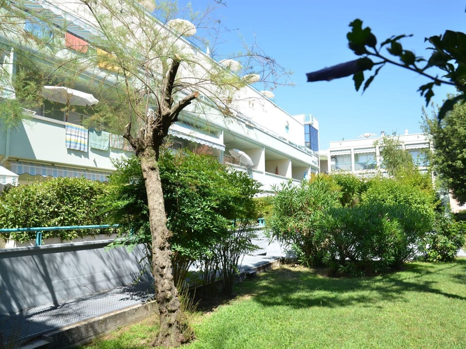 Property, Real Estate, House, Building, Tree, Home, Residential Area, Neighbourhood, Architecture, Apartment