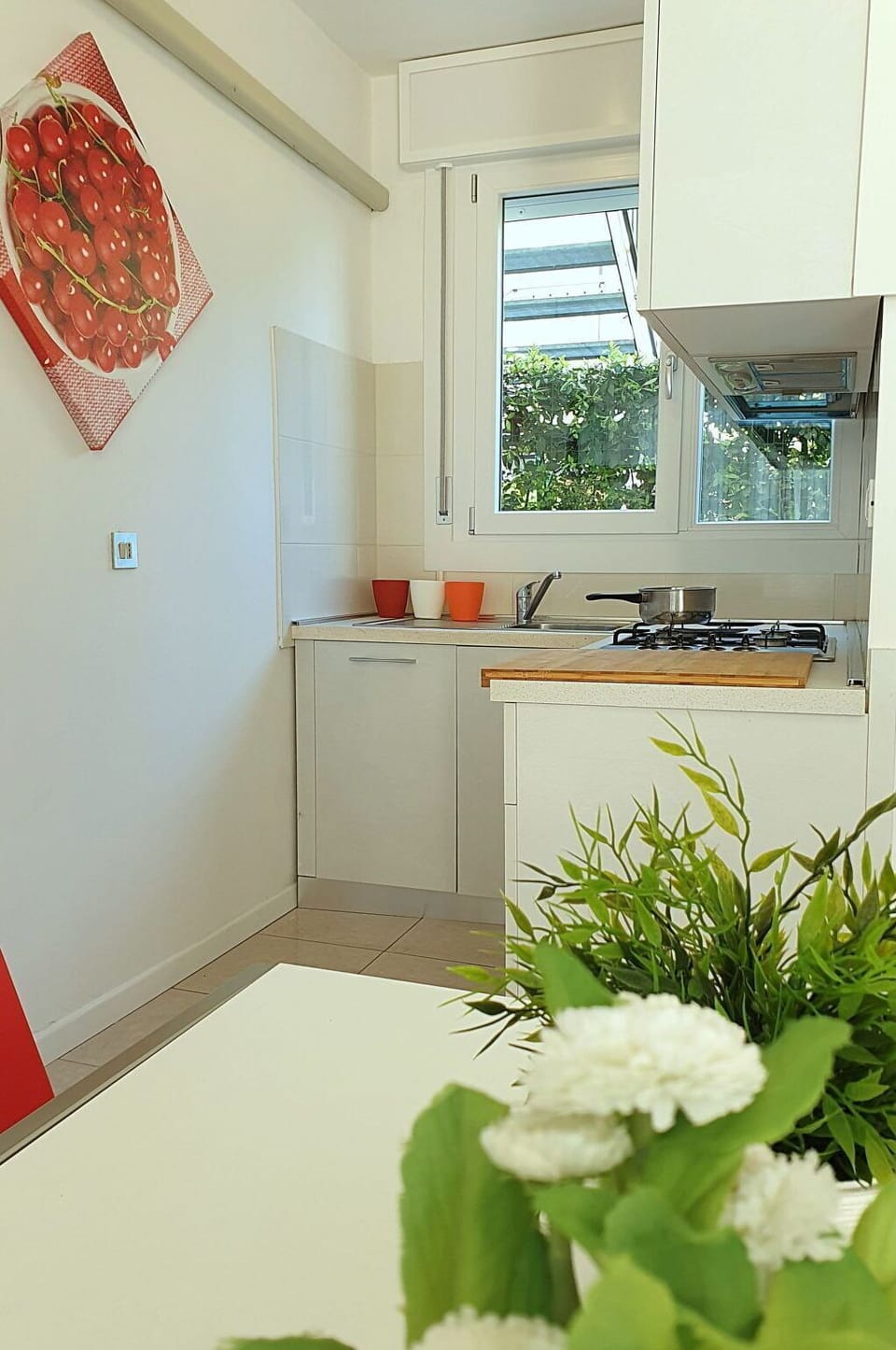 Kitchen Sink, Cabinetry, Property, Plant, Tap, Sink, Countertop, Plumbing Fixture, Green, Building