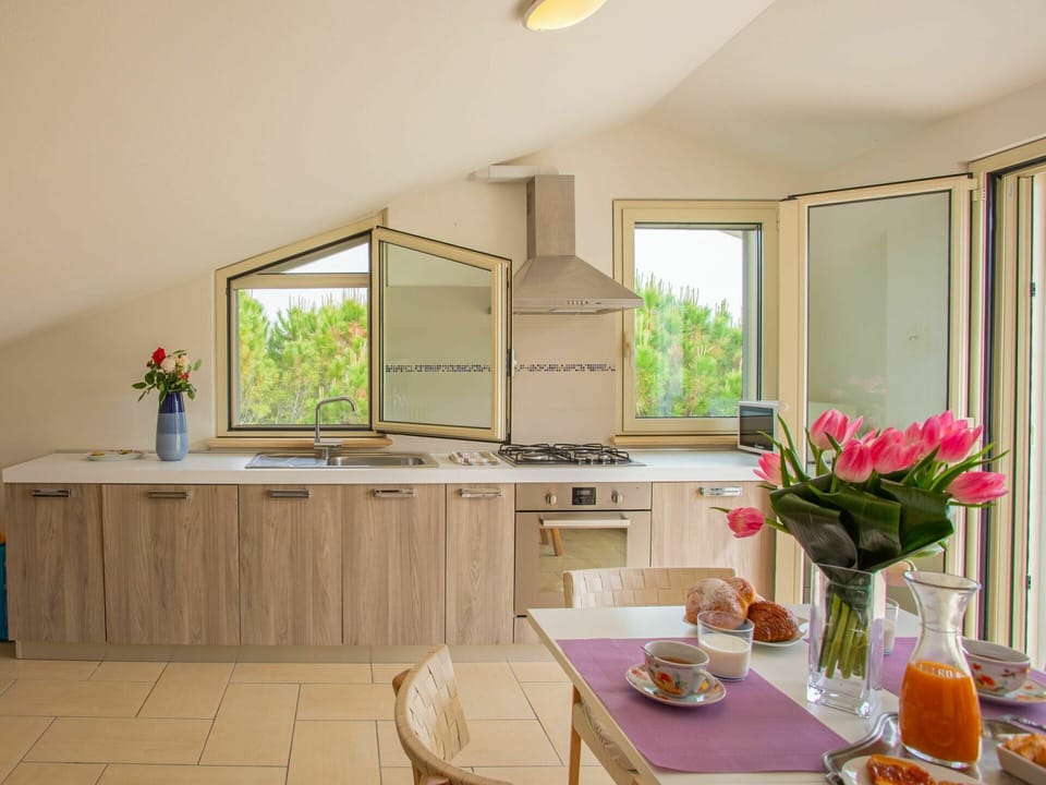 Plant, Table, Building, Tableware, Furniture, Cabinetry, Property, Window, Flower, Houseplant