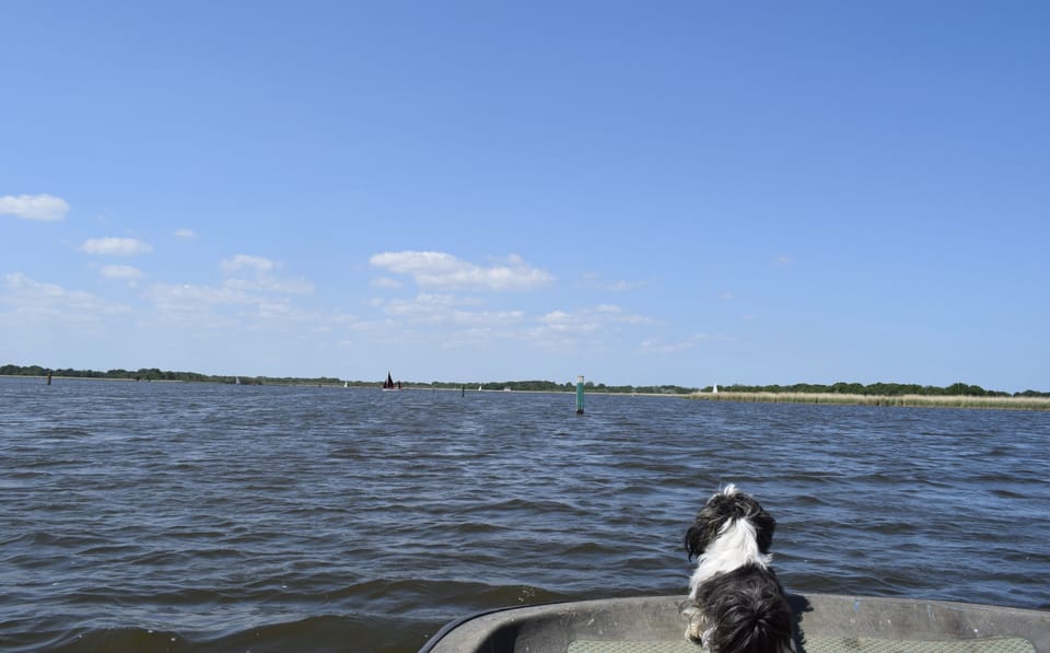 Trip on the Broads!