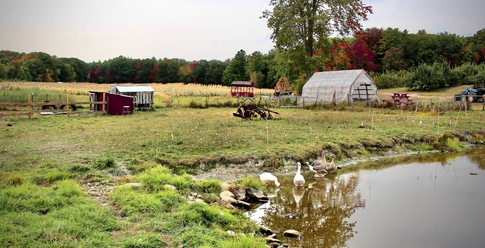 Spillers Farm and UPick
Just 2 minutes away!