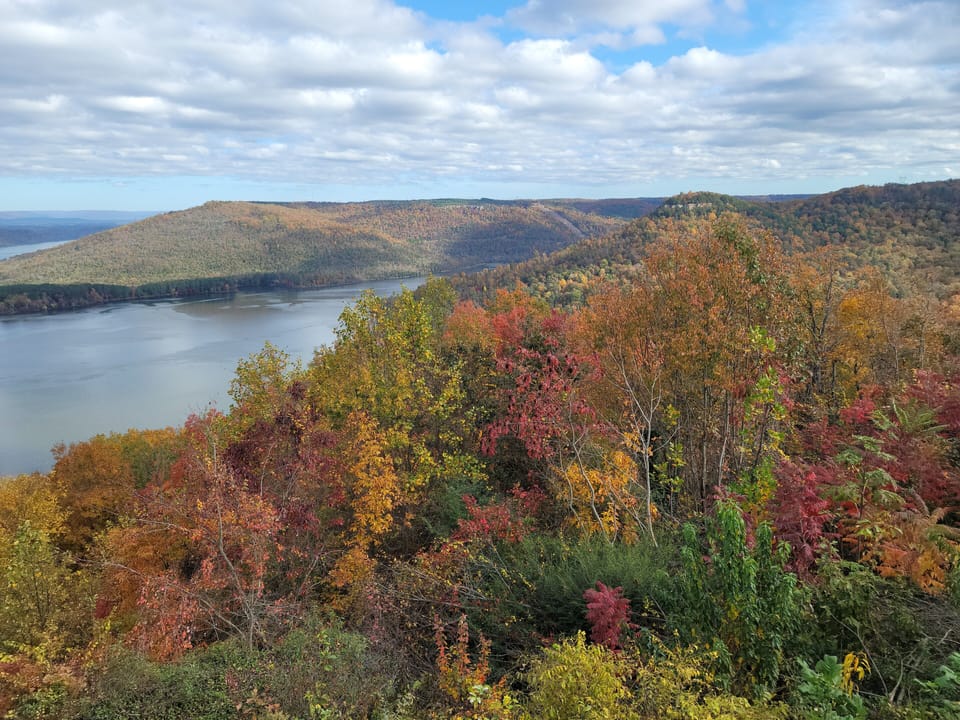 Deck View of Jones Bay in Fall.  