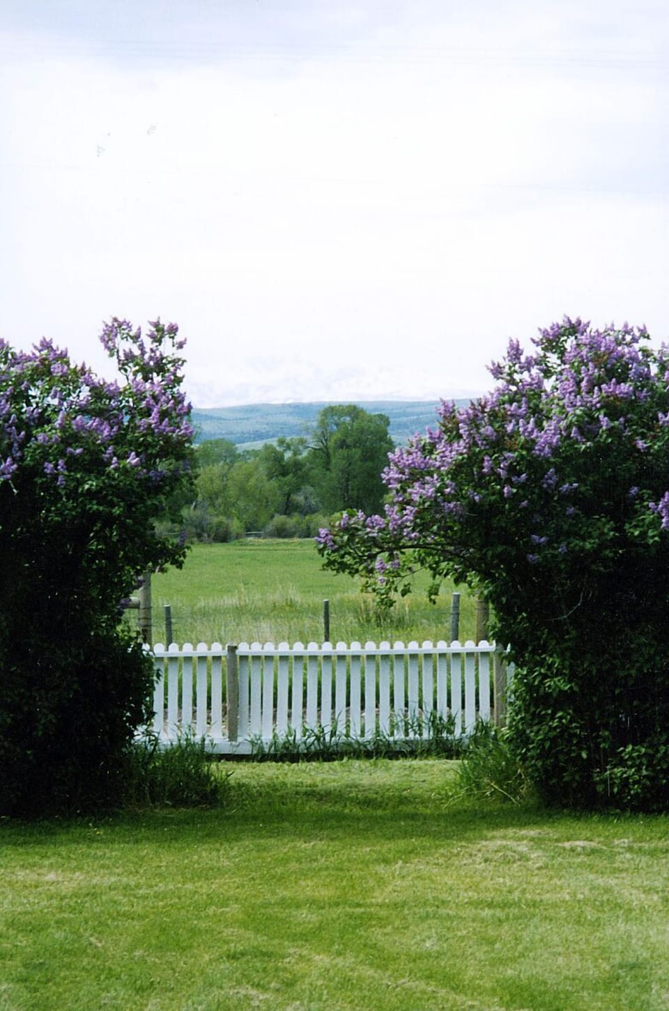 A view looking out over the Vermillion Ranch from the screened in front porch. 