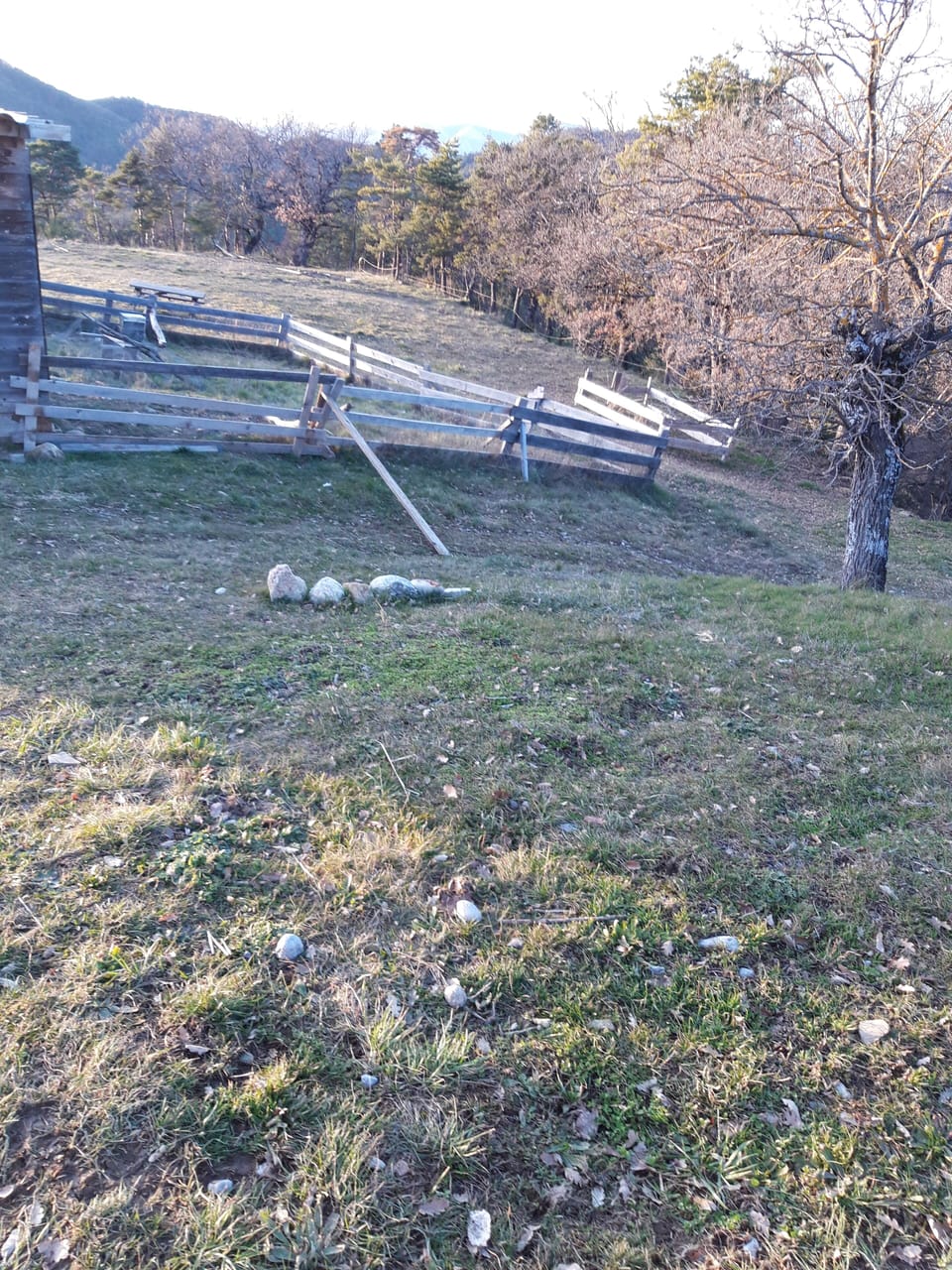 Property grounds