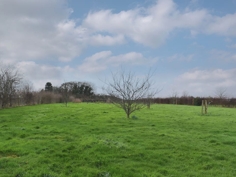 Garden | Ilsington View, Ilsington