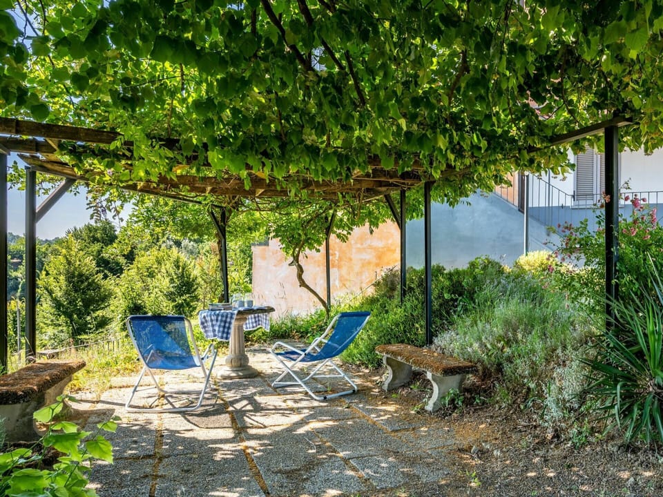 Plant, Plant Community, Building, Window, Branch, Shade, Tree, Outdoor Furniture, Land Lot, Natural Landscape