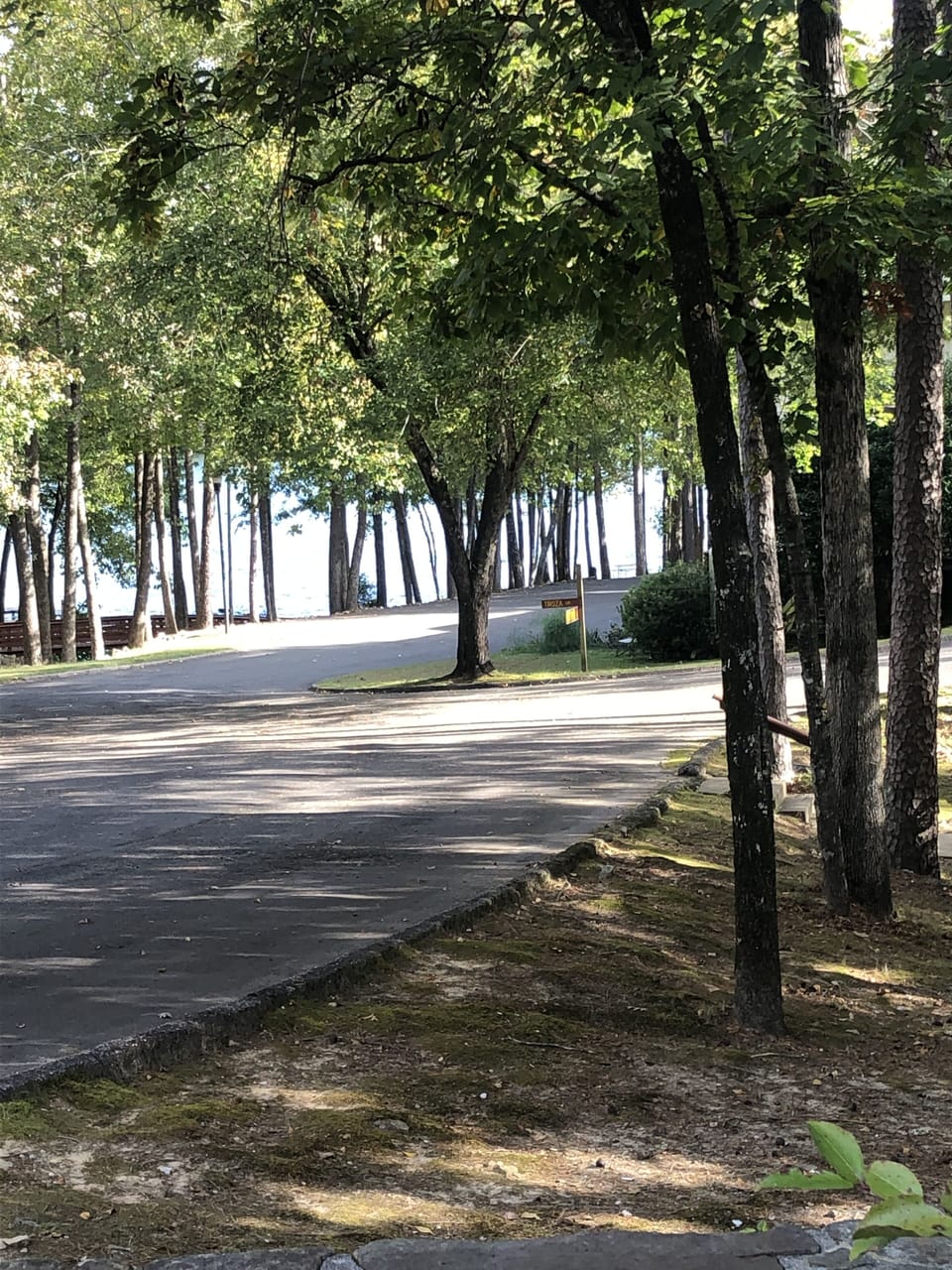 LAKE DESOTO IS ONLY STEPS FROM OUR HOME