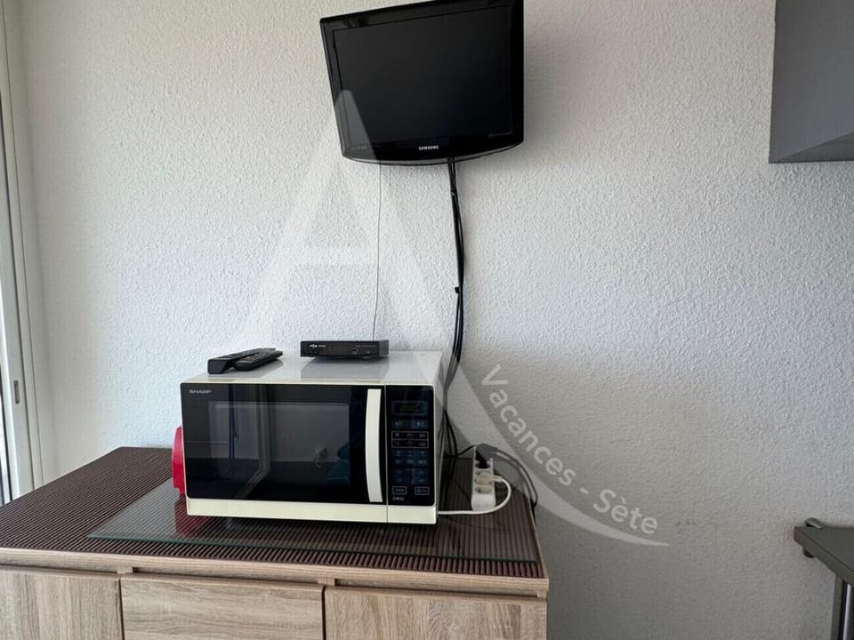 Television