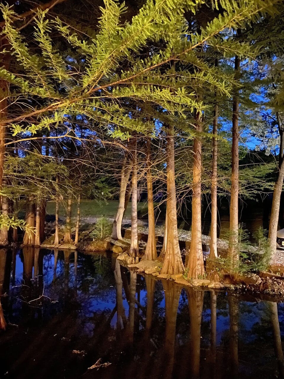View from the porch overlooking the pond