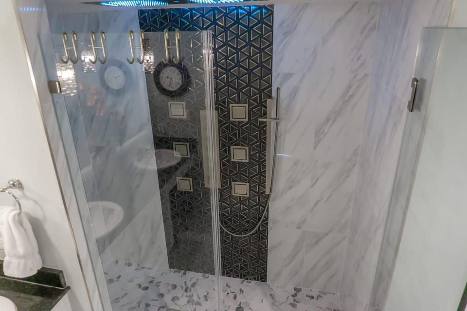 Master bathroom shower, bluetooth speaker