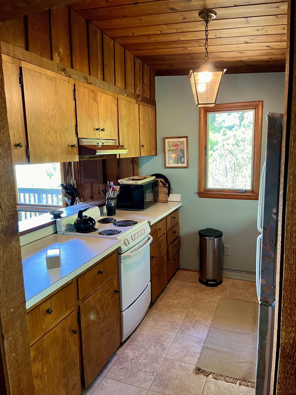 Kitchen, main floor, well-stocked, faces  Lake MI and woods