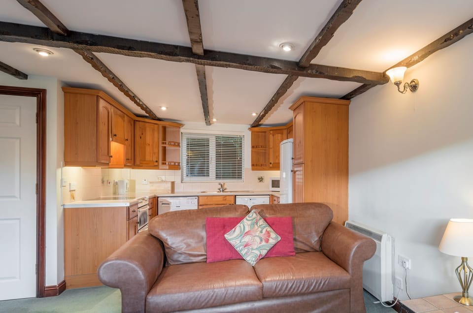 Lounge / Kitchen / Dining Area