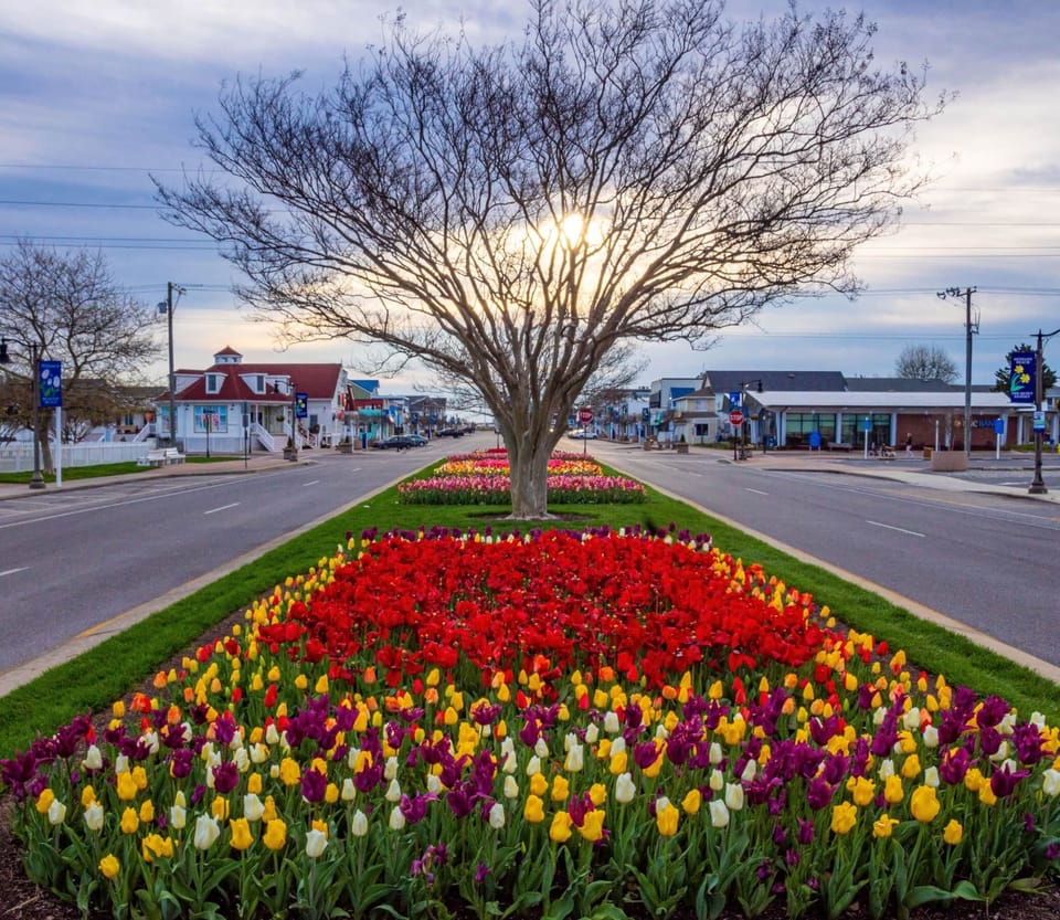 Downtown Bethany