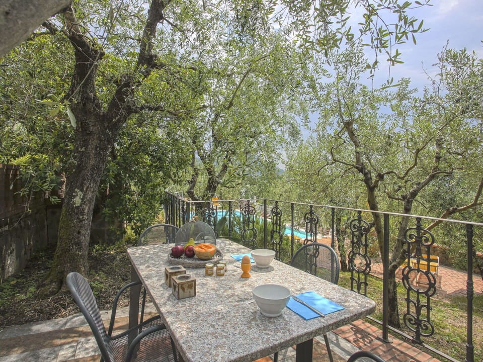 Table, Plant, Furniture, Tableware, Chair, Sky, Tree, Outdoor Furniture, Outdoor Table, Shade